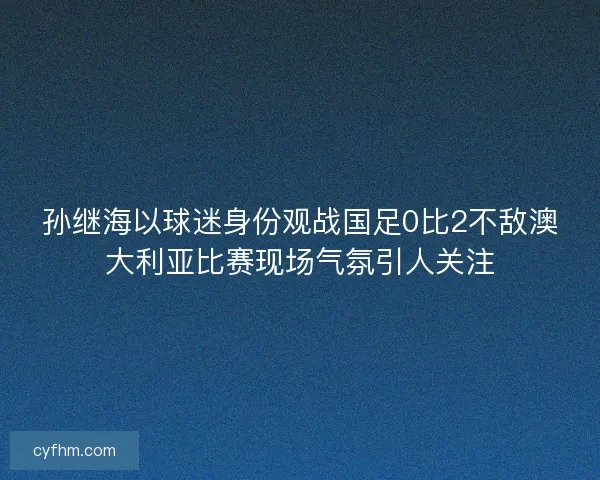 孙继海以球迷身份观战国足0比2不敌澳大利亚比赛现场气氛引人关注