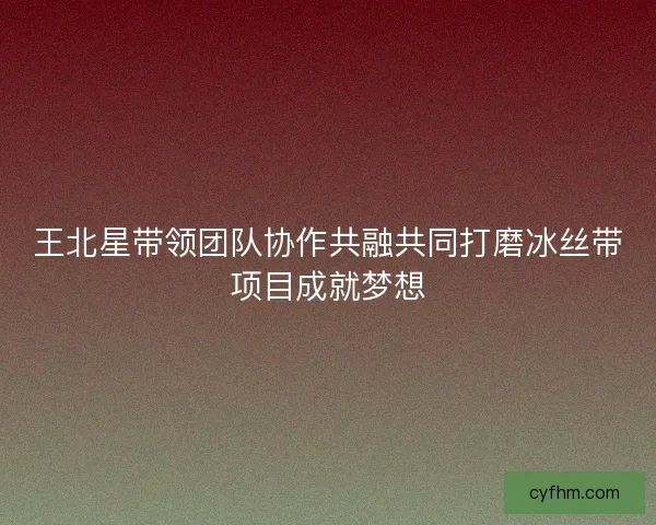 王北星带领团队协作共融共同打磨冰丝带项目成就梦想
